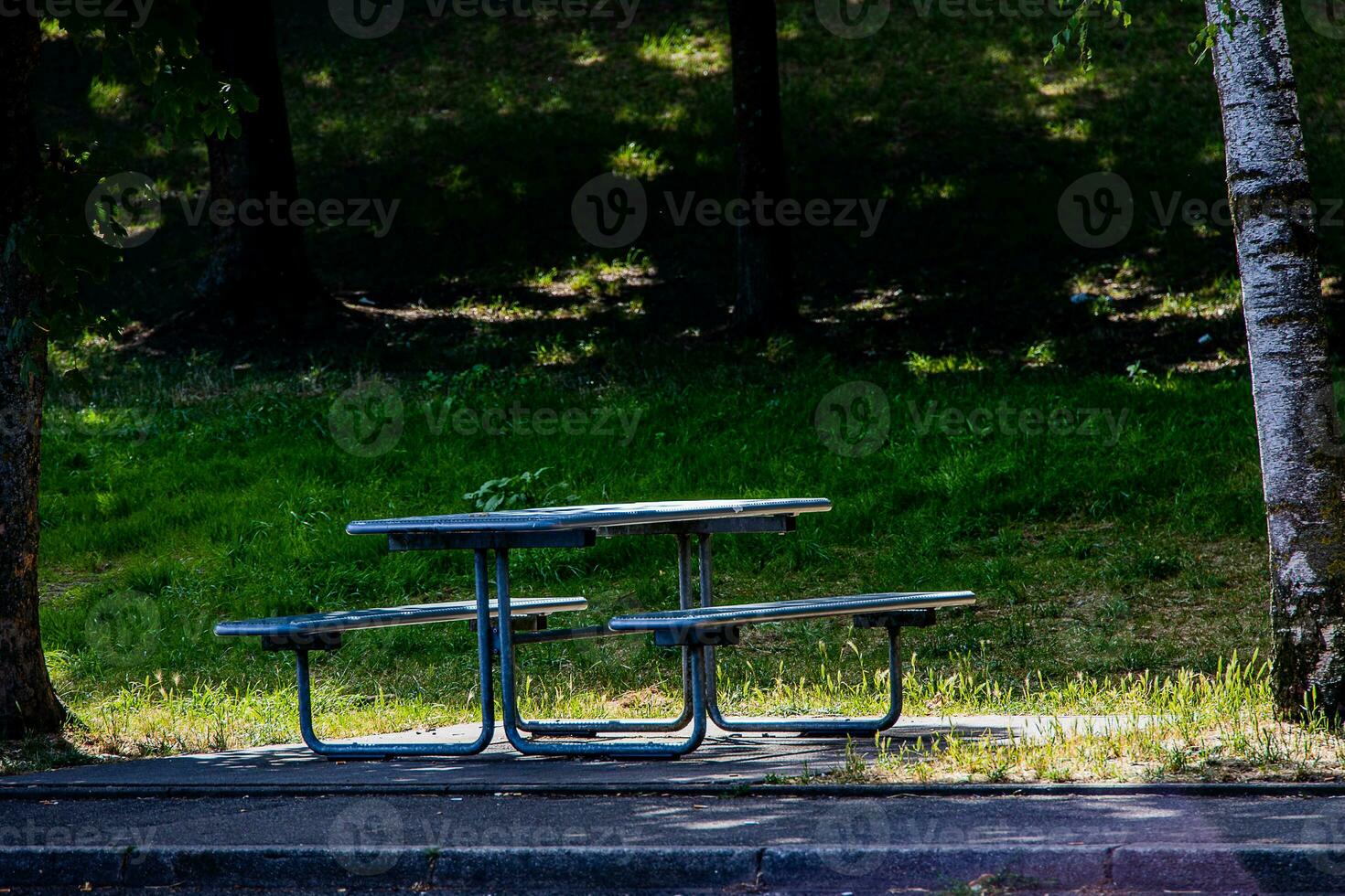 Sommer- Landschaft Picknick Bank unter das Bäume im das Park auf ein sonnig Tag foto