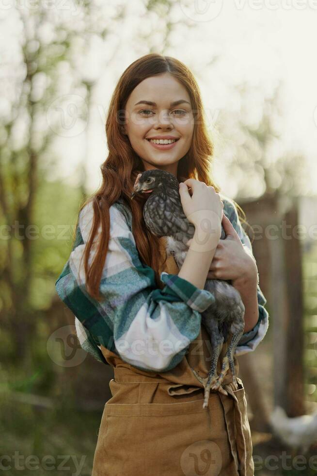 ein glücklich jung Frau lächelt beim das Kamera und hält ein jung Hähnchen Das liegt Eier zum ihr Bauernhof im das Sonnenlicht foto