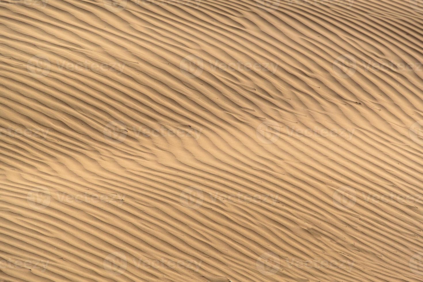 schöne Sanddüne in der Wüste, Jaisalmer, Rajasthan, Indien. foto