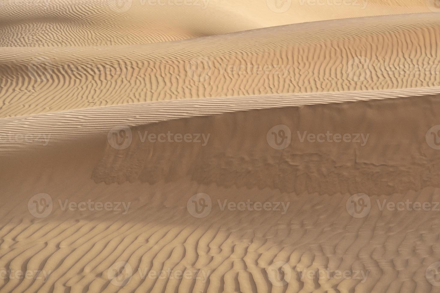 schöne Sanddüne in der Wüste, Jaisalmer, Rajasthan, Indien. foto