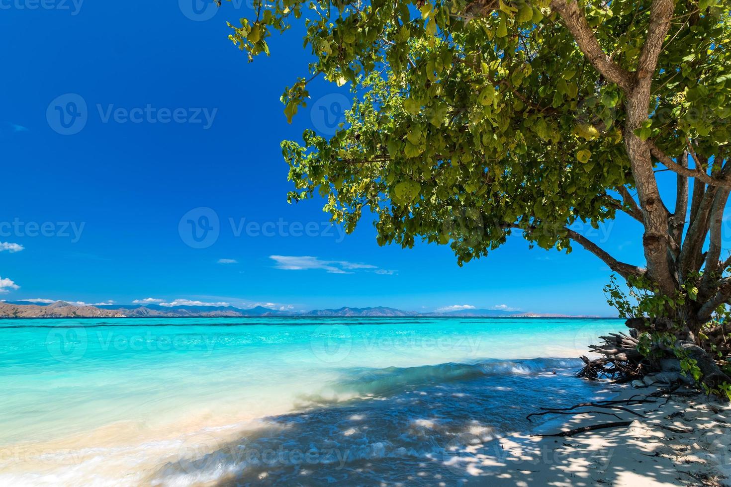 Blick auf einen schönen tropischen Strand foto