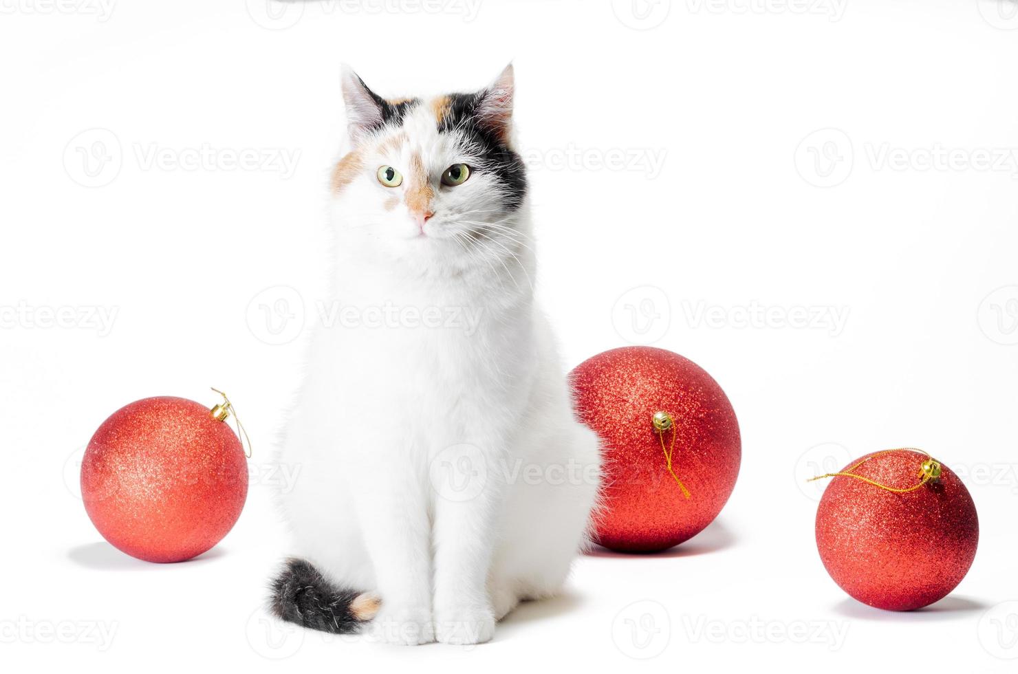 Katze mit roten Kugeln foto