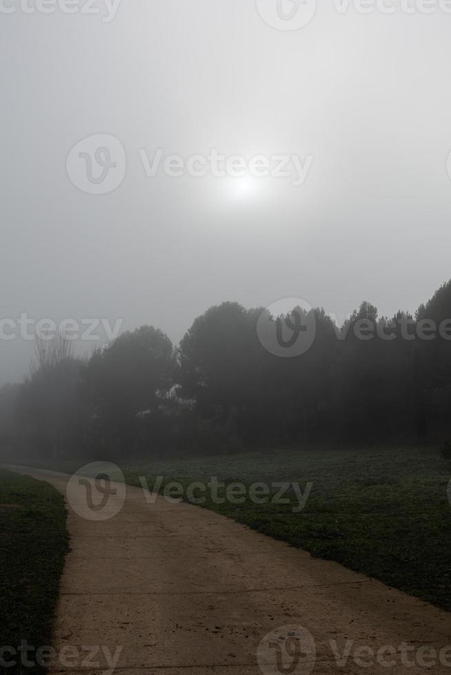 l Ruhe Landschaft mit Straße im neblig grau Winter Tag foto