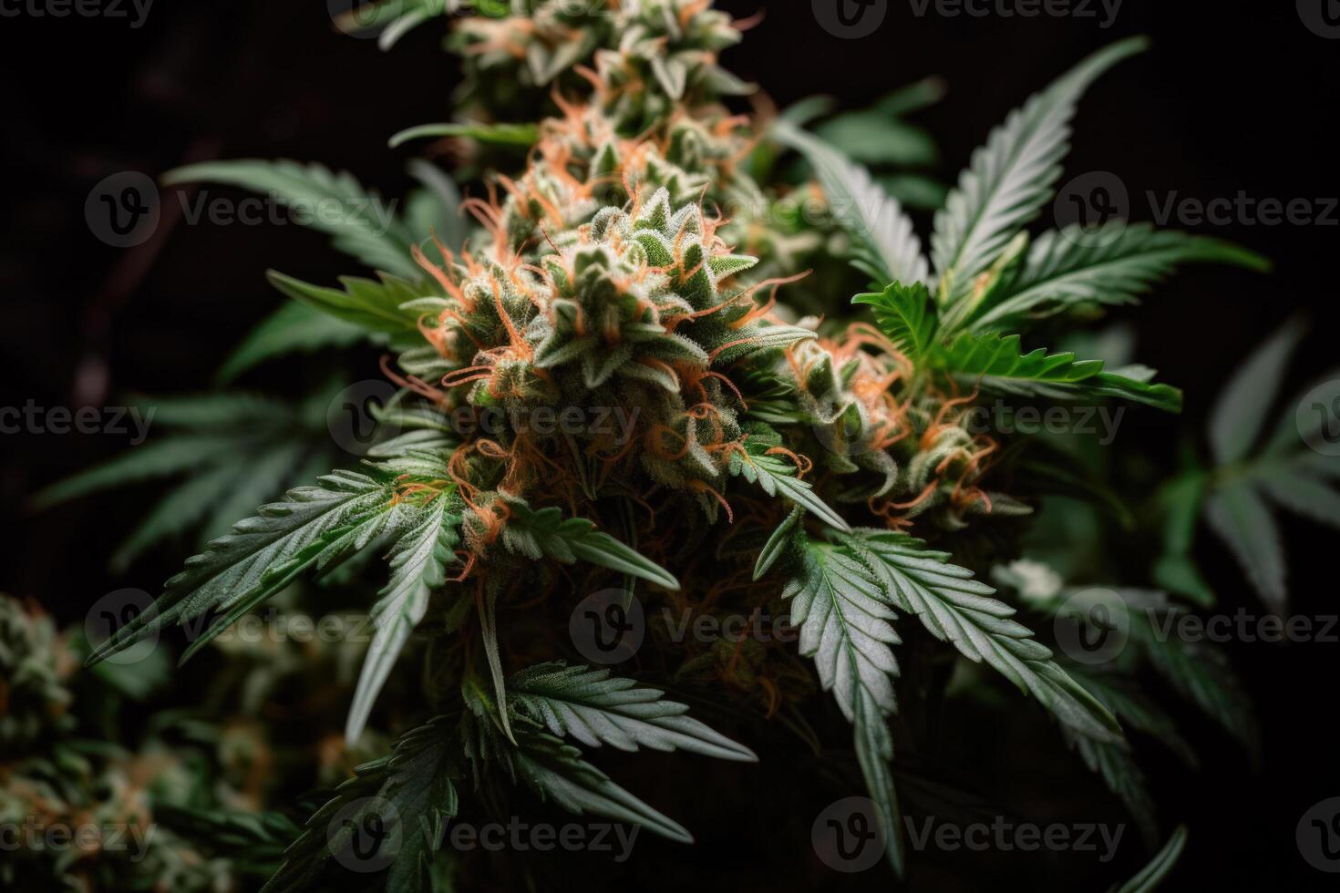 Grün frisch Cannabis Knospe generativ ai foto