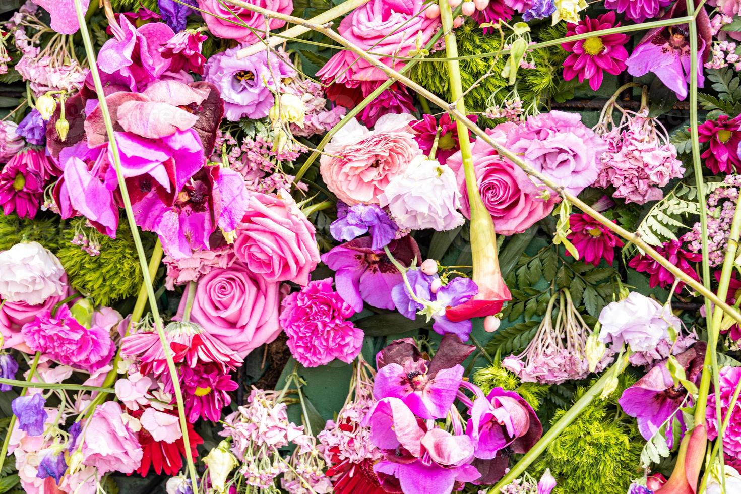 natürlich Rosa Hintergrund mit Blumen Nahansicht foto