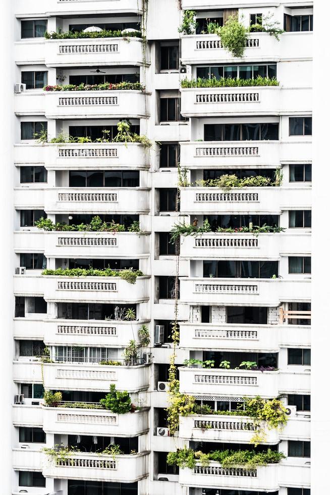 Fenstermustertexturen für den Hintergrund foto