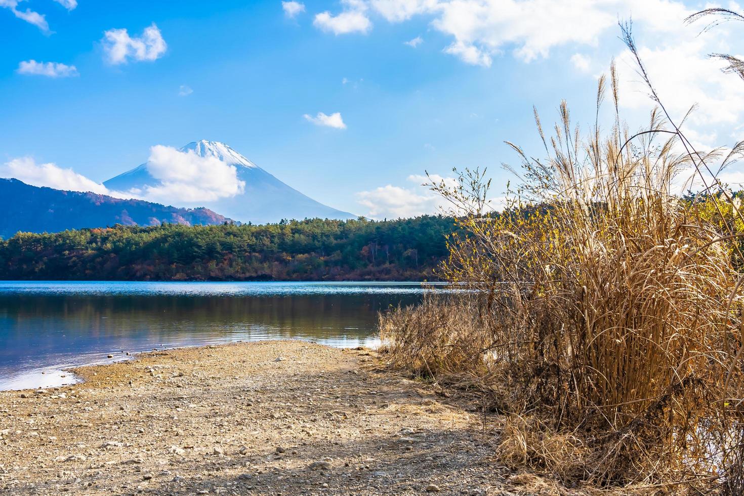 Landschaft bei mt. Fuji in Japan foto