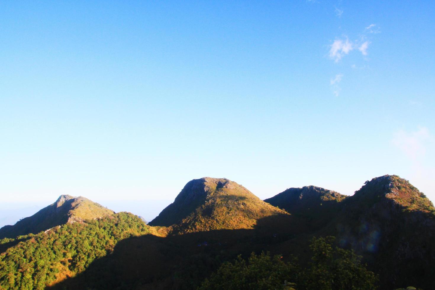 schön Gras Blumen Landschaft von felsig Kalkstein Berg und Grün Wald mit blau Himmel beim Chiang doa National Park im chiangmai, Thailand foto