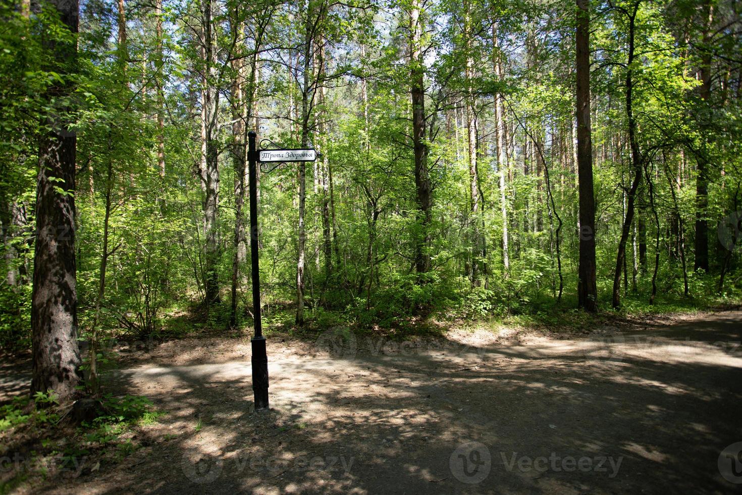 Wandern Weg im natürlich Sommer- Wald und Säule mit Inschrift Weg von Gesundheit. foto