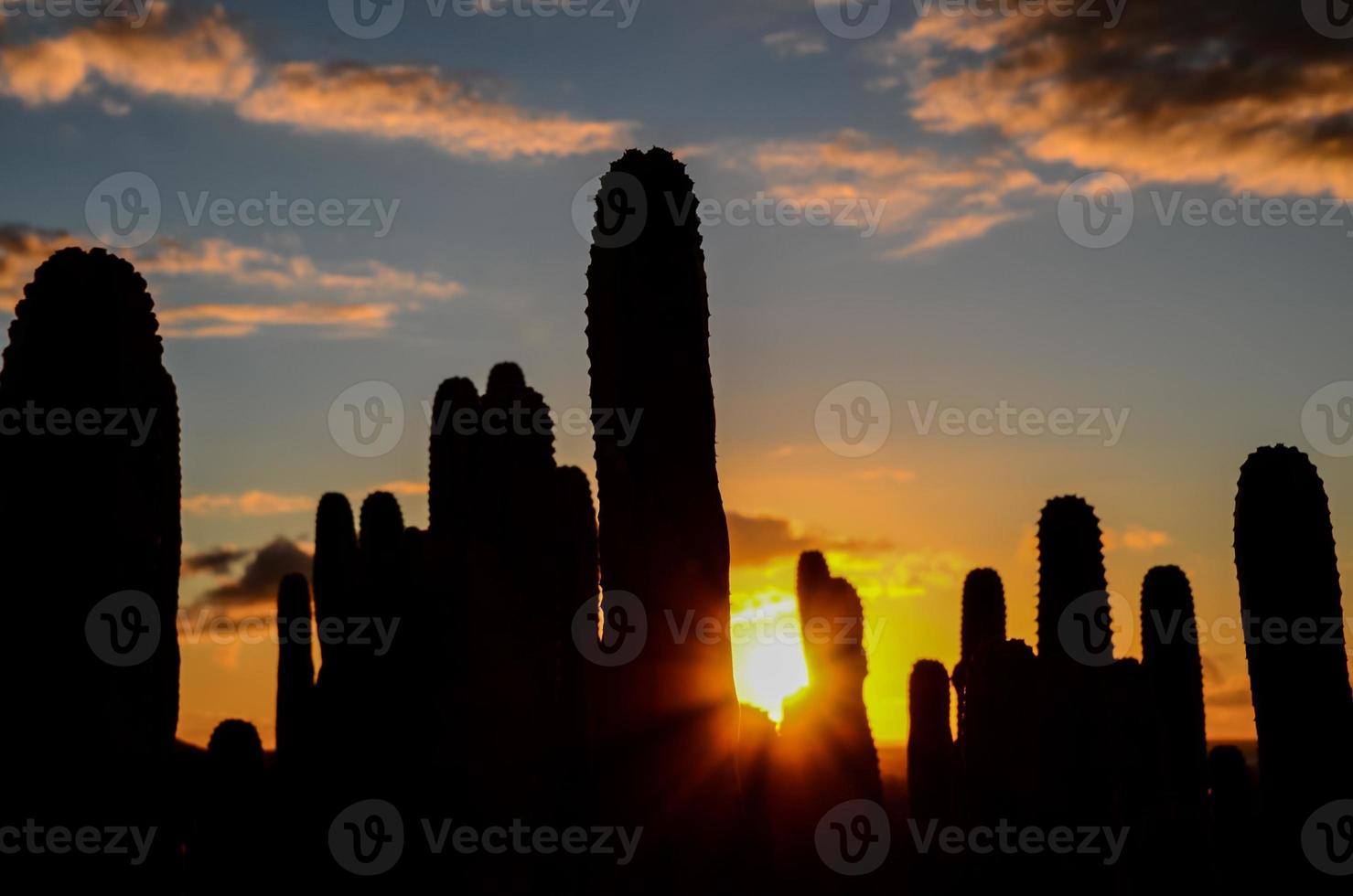 ein wunderschöner Sonnenuntergang foto