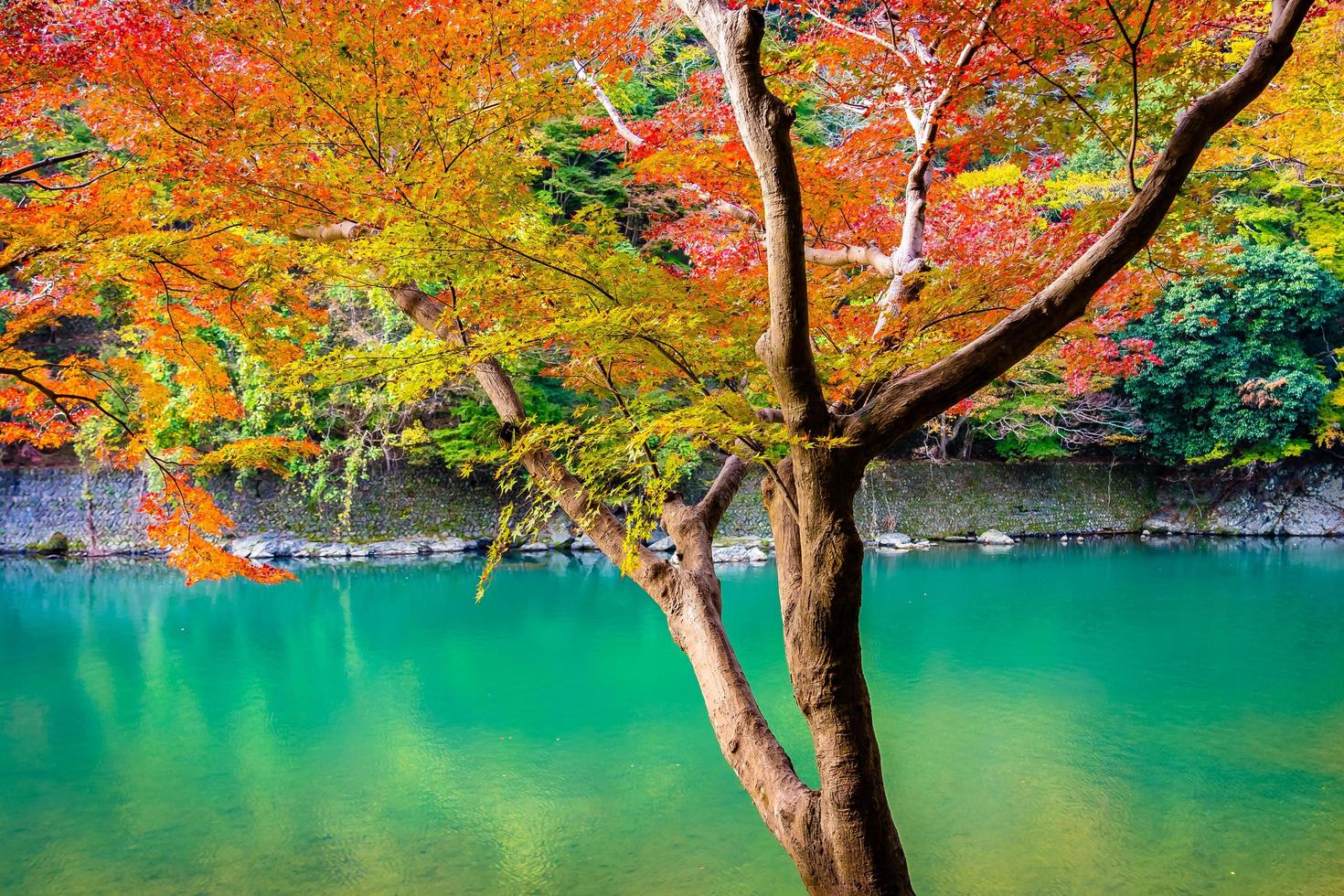 Arashiyama Fluss in Kyoto, Japan foto