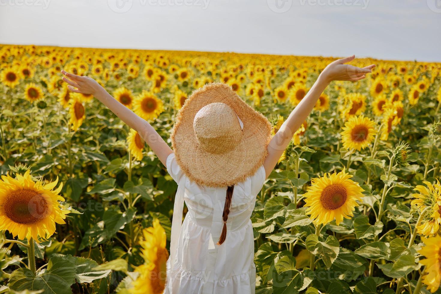 Frau halten ihr Hände über ihr Kopf Sonnenblume Feld Natur Landschaft Freiheit foto