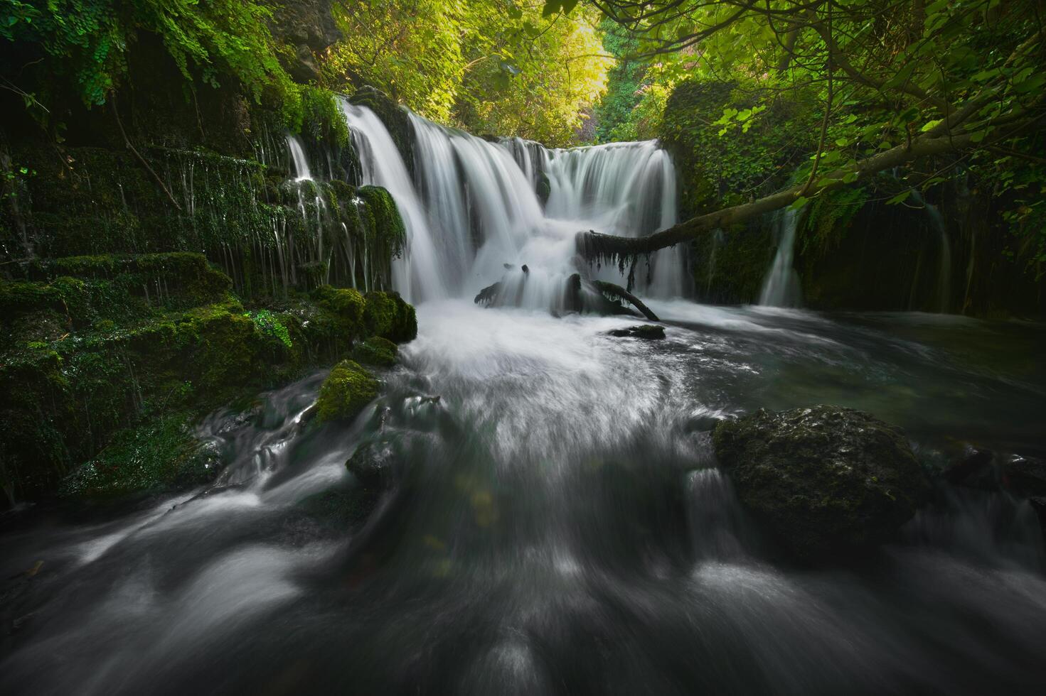 beeindruckender Wasserfall eines Flusses in einem grünen Wald foto