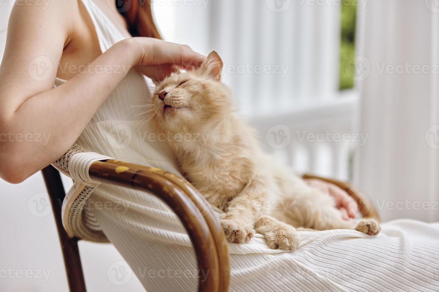 schön Frau Sitzung auf das Terrasse mit ein Katze Entspannung Konzept foto
