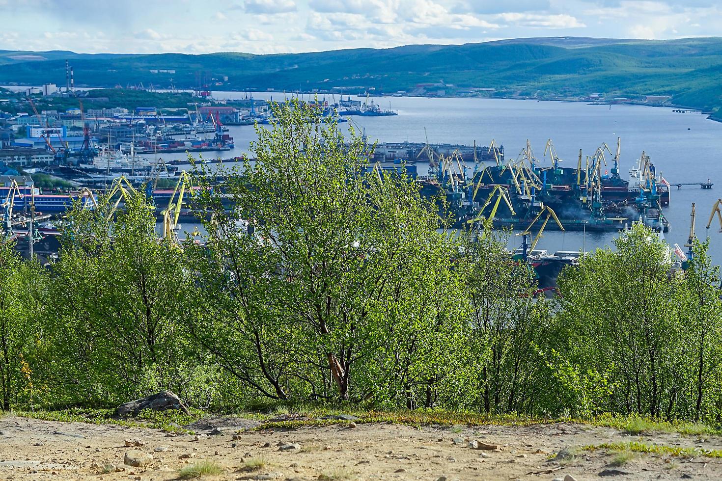 Landschaft mit Bäumen und Blick auf Kolabucht in Murmansk, Russland foto