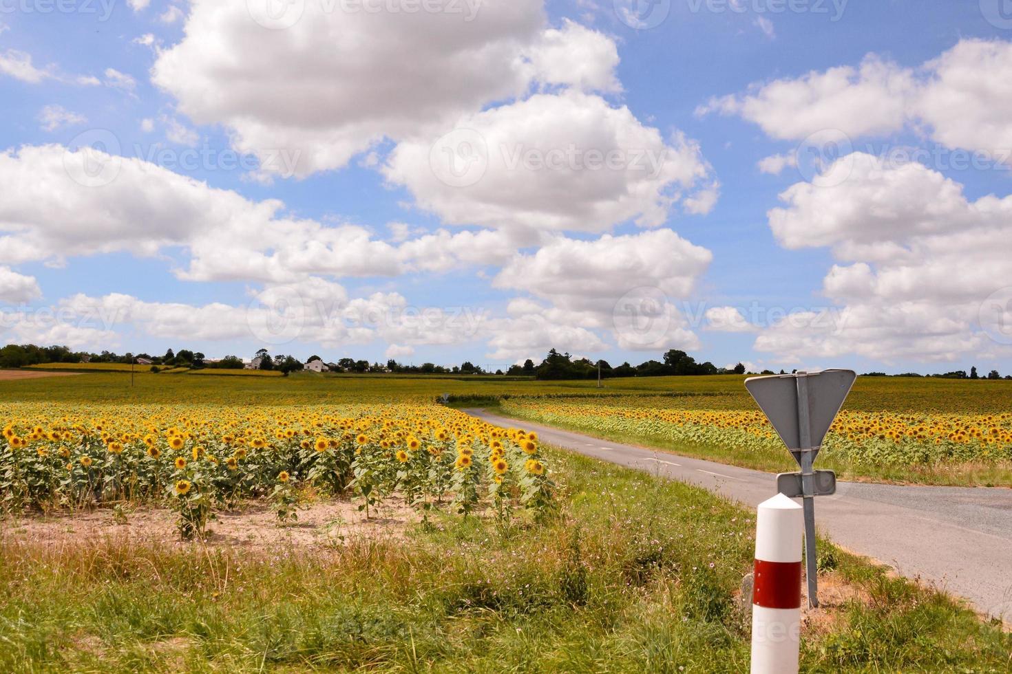 szenisch ländlich Landschaft foto