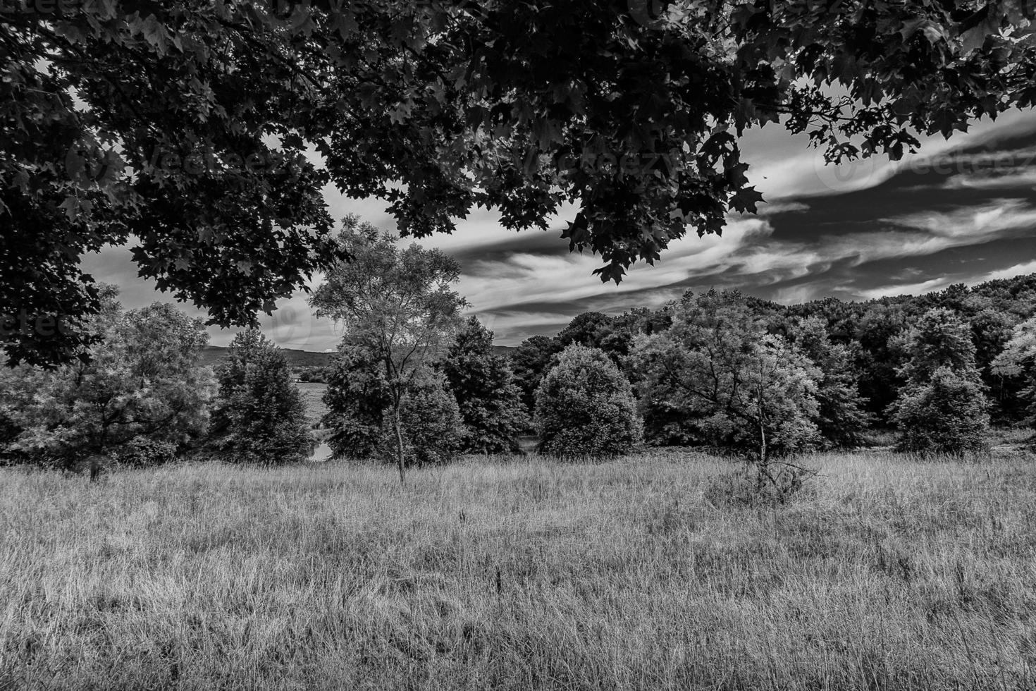 Sommer- Landschaft mit Grün Bäume, Wiese, Felder und Himmel mit Weiß Wolken foto