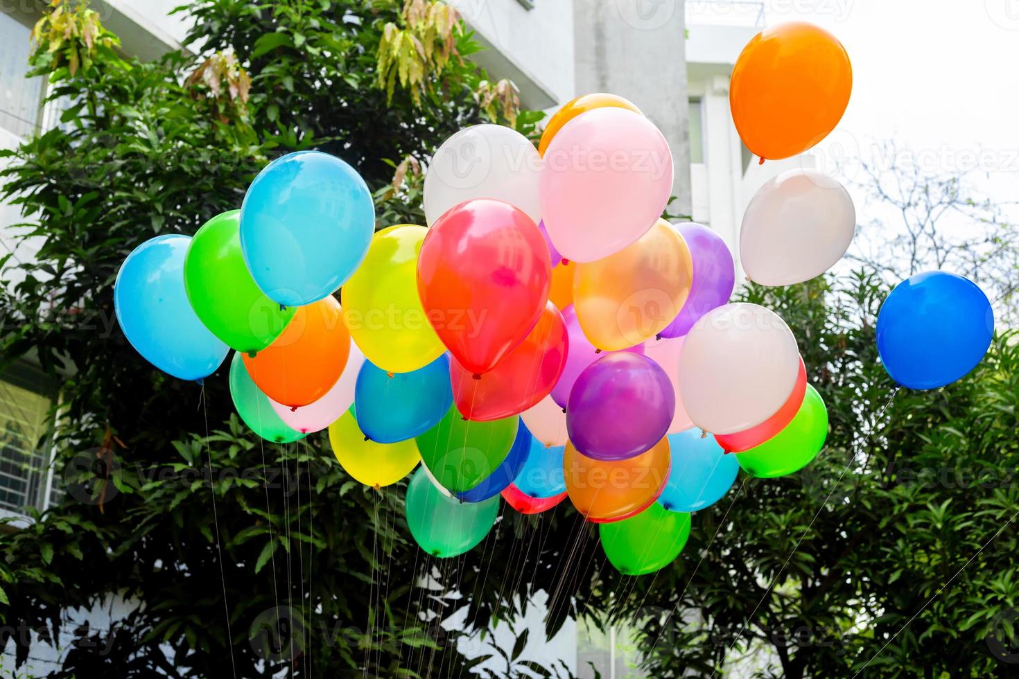 bunt Luftballons gefüllt mit Gas gebunden zu das Faden sind fliegend. foto