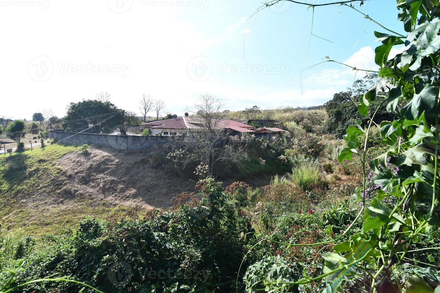 szenisch ländlich Landschaft foto