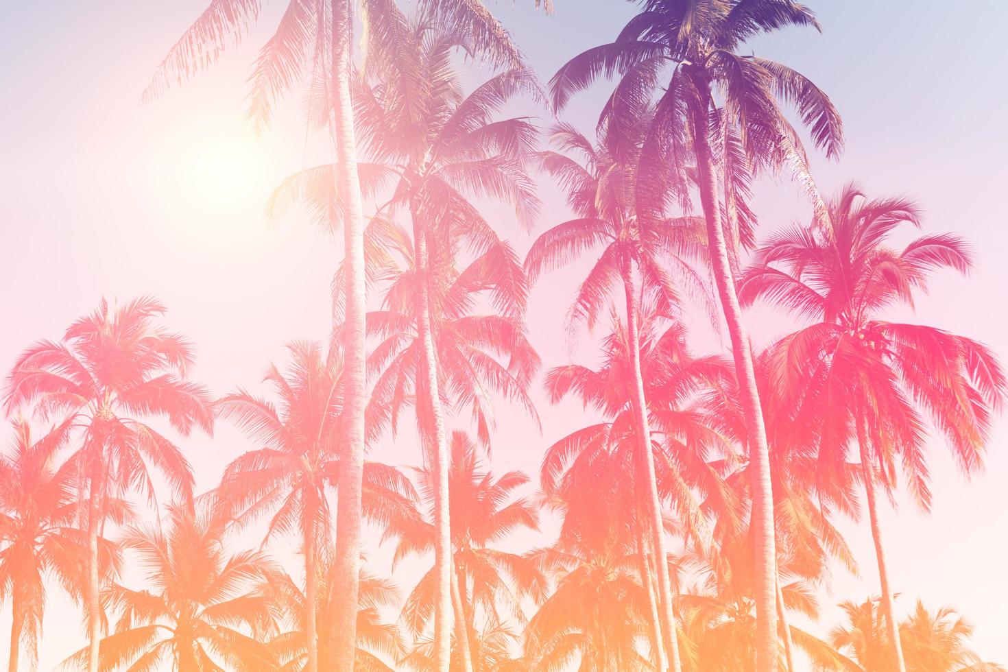 tropische Palmenkokosnussbäume auf Sonnenuntergangshimmelfackel und bokeh Naturhintergrund foto