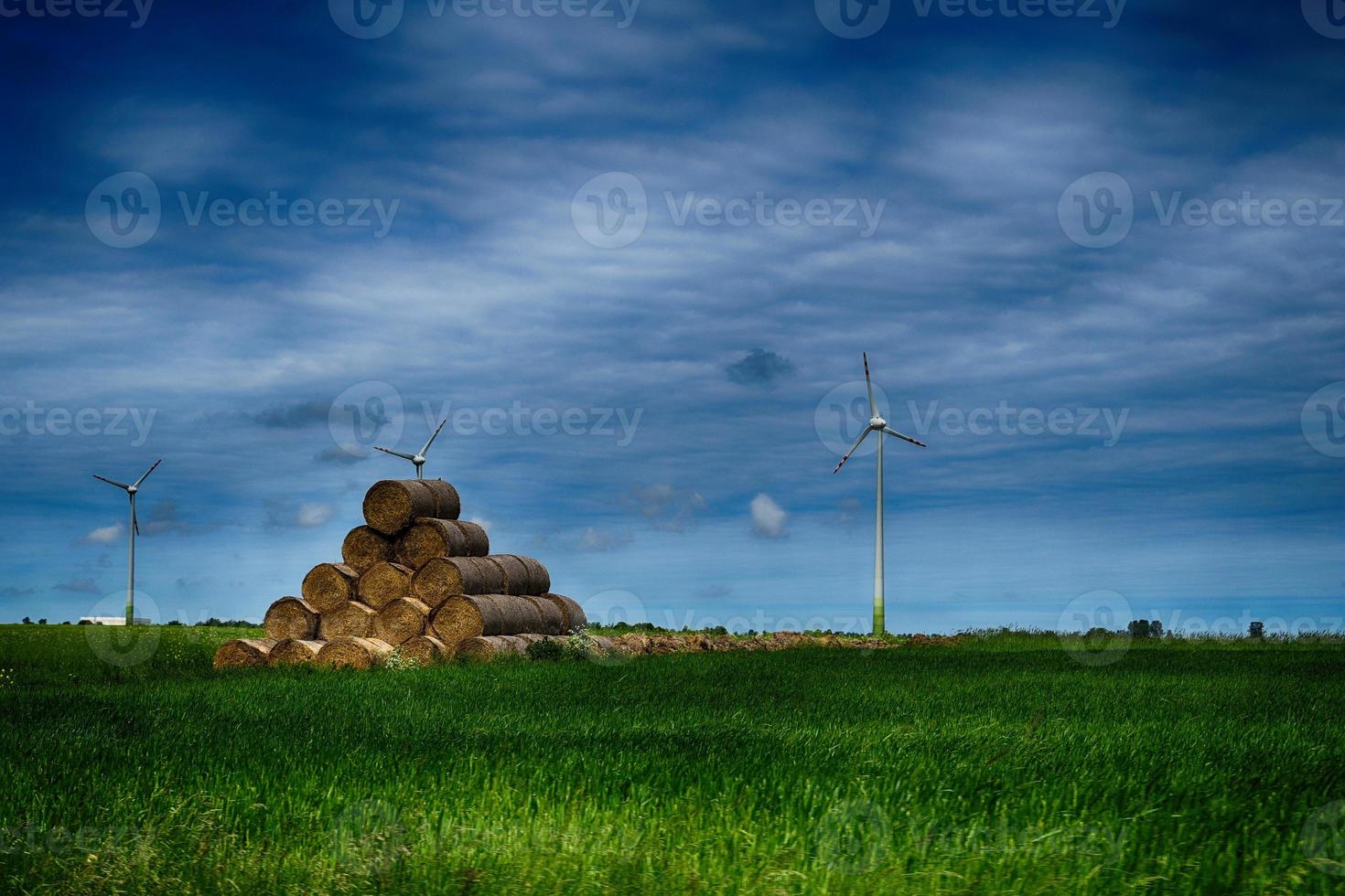 malerisch Frühling Landschaft mit Blau Himmel und Grün Felder foto