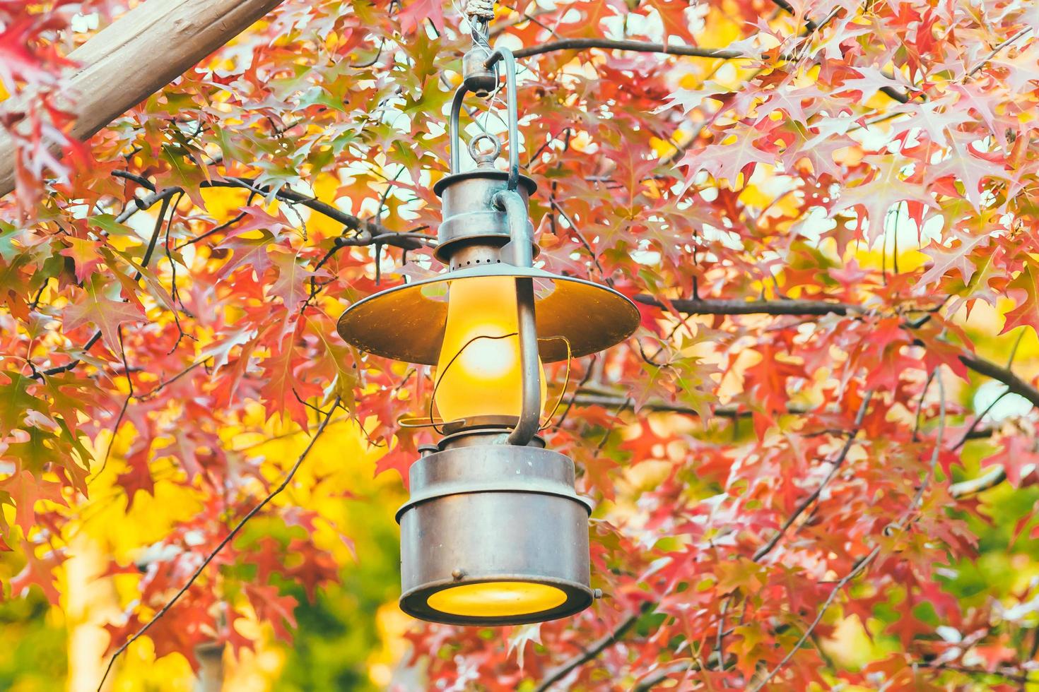 alte Laterne mit Blick ins Freie in der Herbstsaison foto