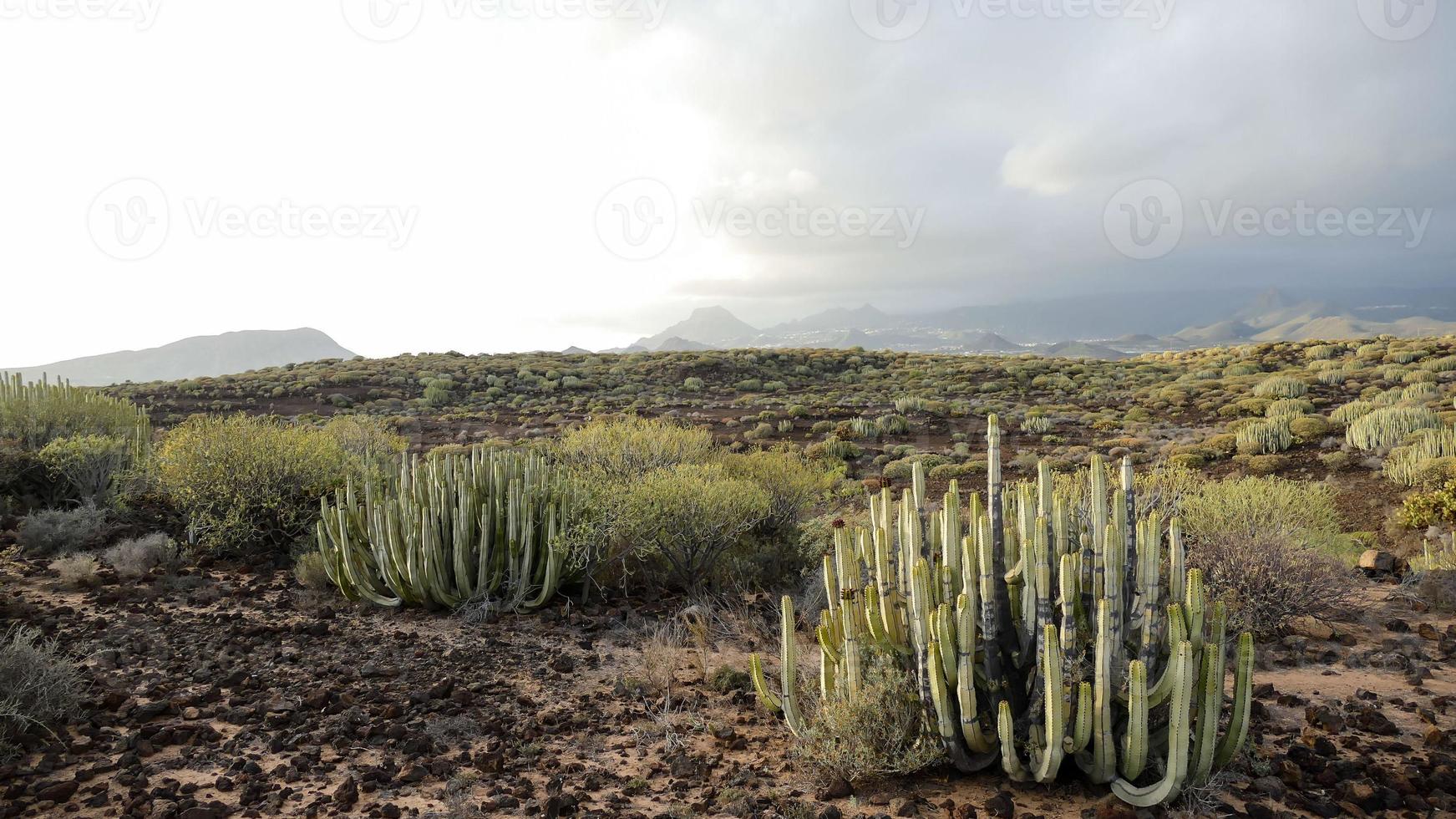 szenisch ländlich Landschaft foto