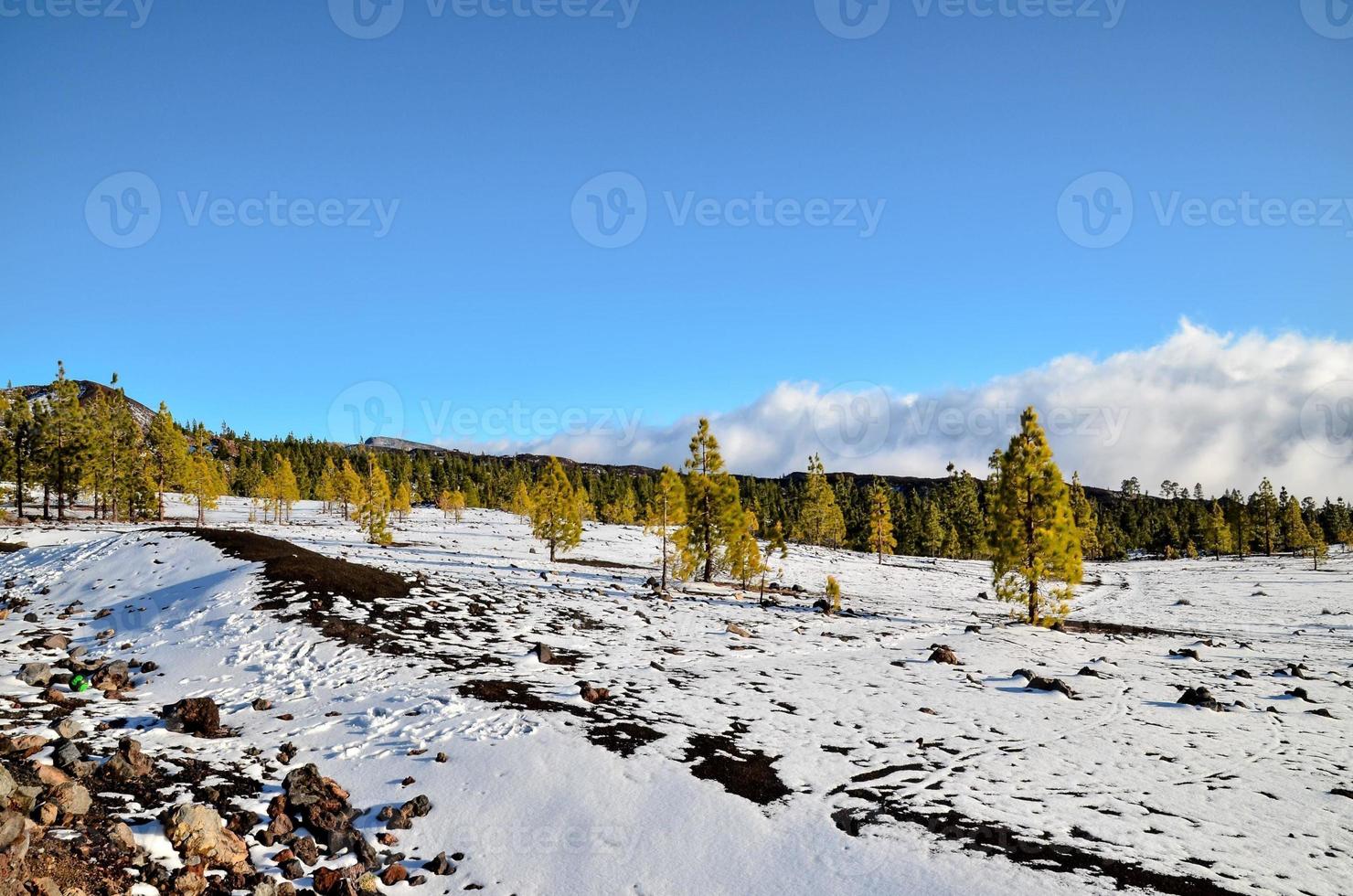 szenisch ländlich Landschaft foto