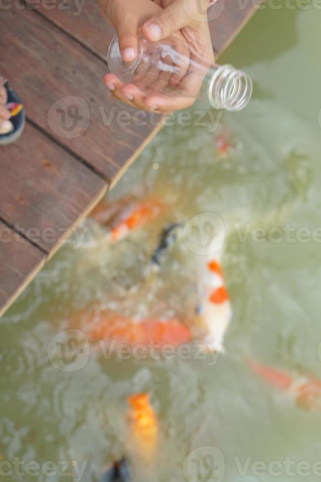 Kind Hand Fütterung das Fisch im das Teich foto
