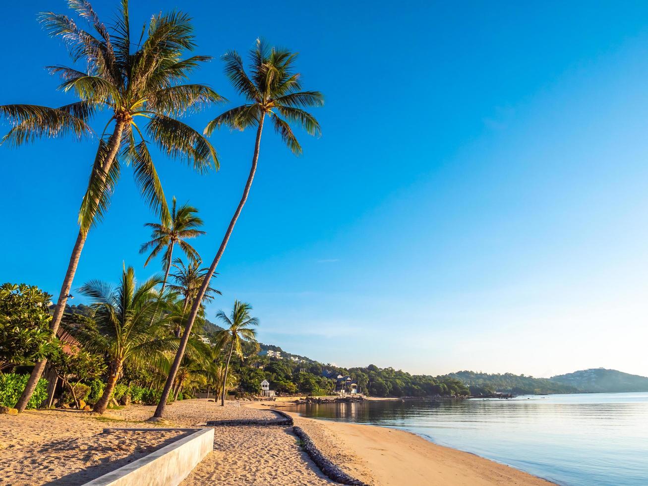 schöner tropischer Strand und Meer mit Kokospalme foto