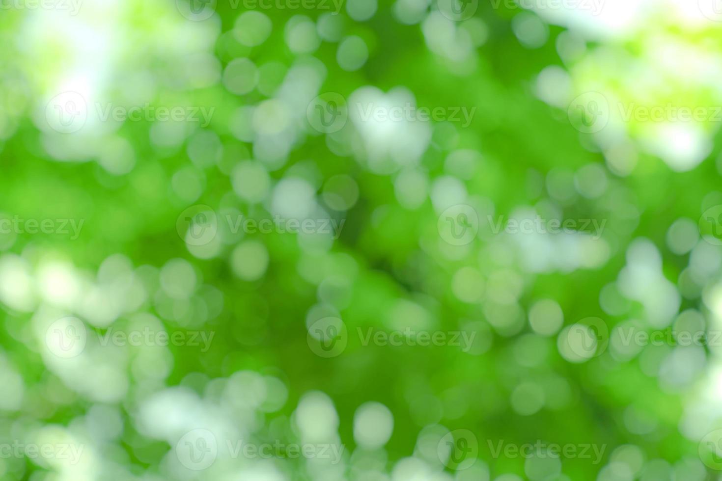 natürlicher grüner bokeh abstrakter hintergrund, unscharf strukturiert foto