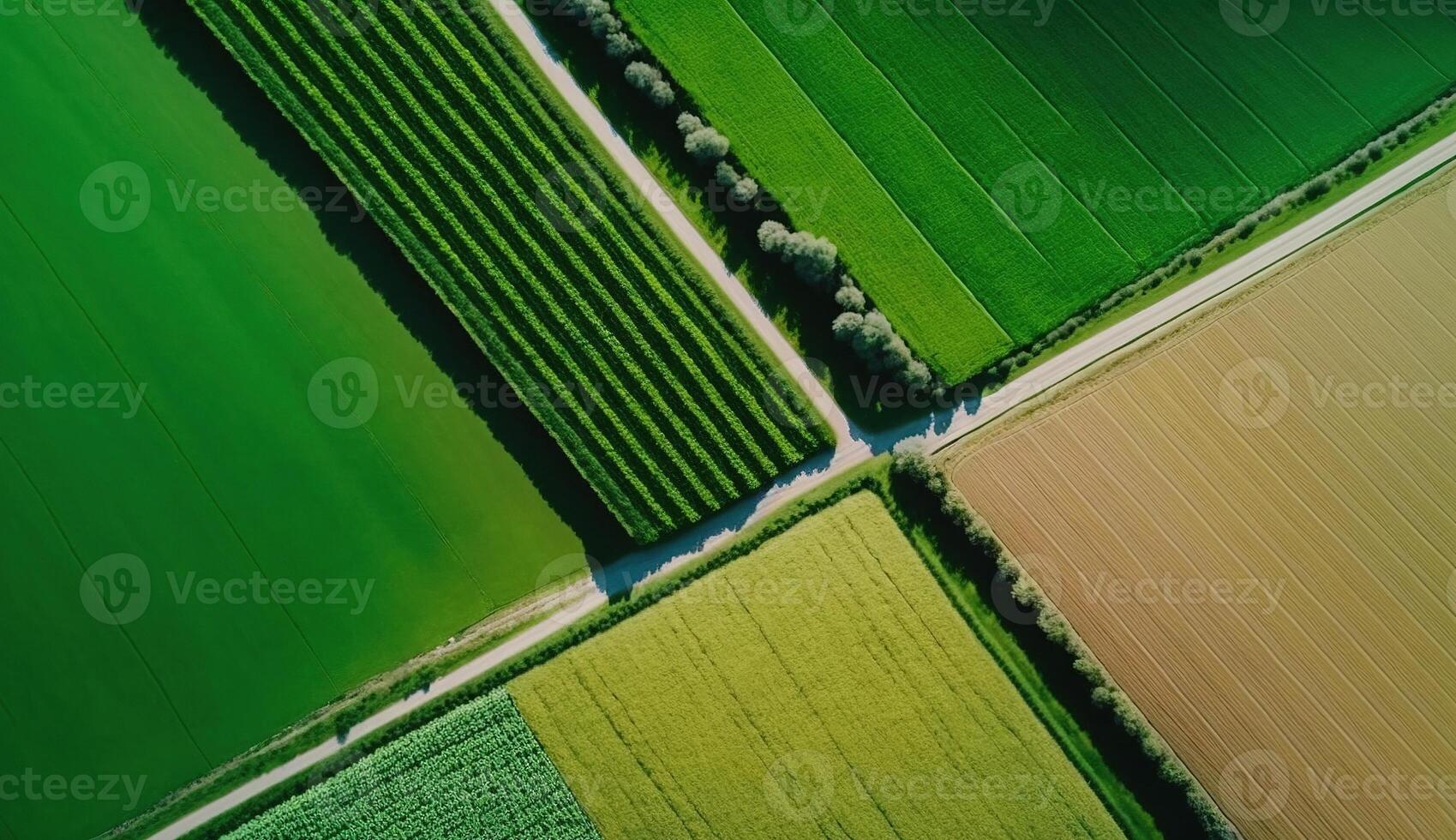 generativ ai, Bauernhof Landschaft, landwirtschaftlich Felder, schön Landschaft, Land Straße. Natur Illustration, fotorealistisch oben Aussicht Drohne, horizontal Banner. foto