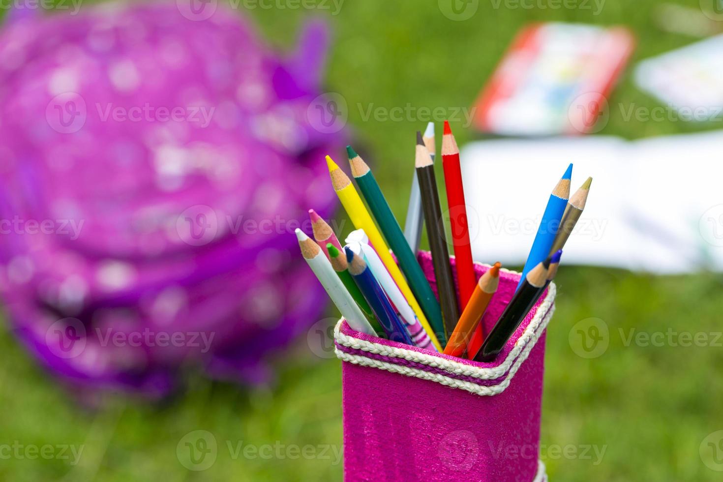 Banane aus Fasern Rosa Bleistift Halter mit Mehrfarbig Bleistifte. Bücher, Notizbücher, Schule Taschen können Sein gesehen auf aus von Fokus im das Gras. foto