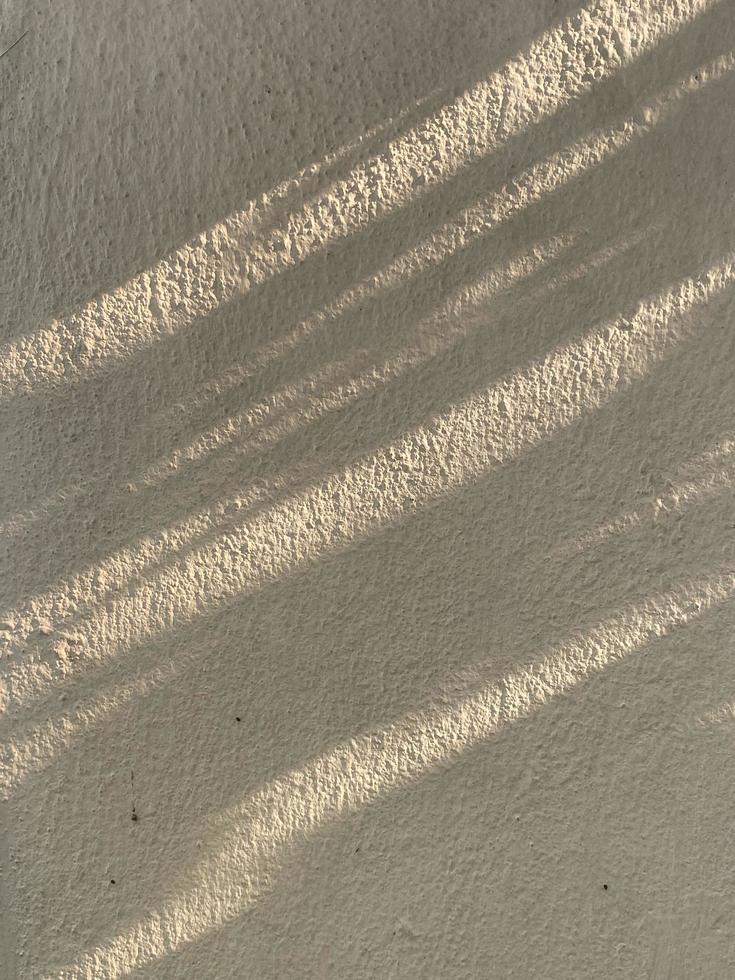 Blätter Schatten Hintergrund auf Beton Mauer Textur, Blätter Baum Geäst Schatten foto