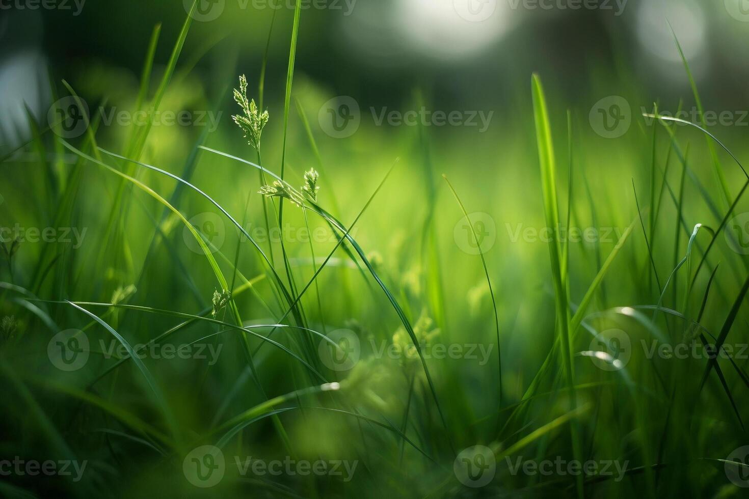 Gras und Grün Bokeh. ai generiert foto
