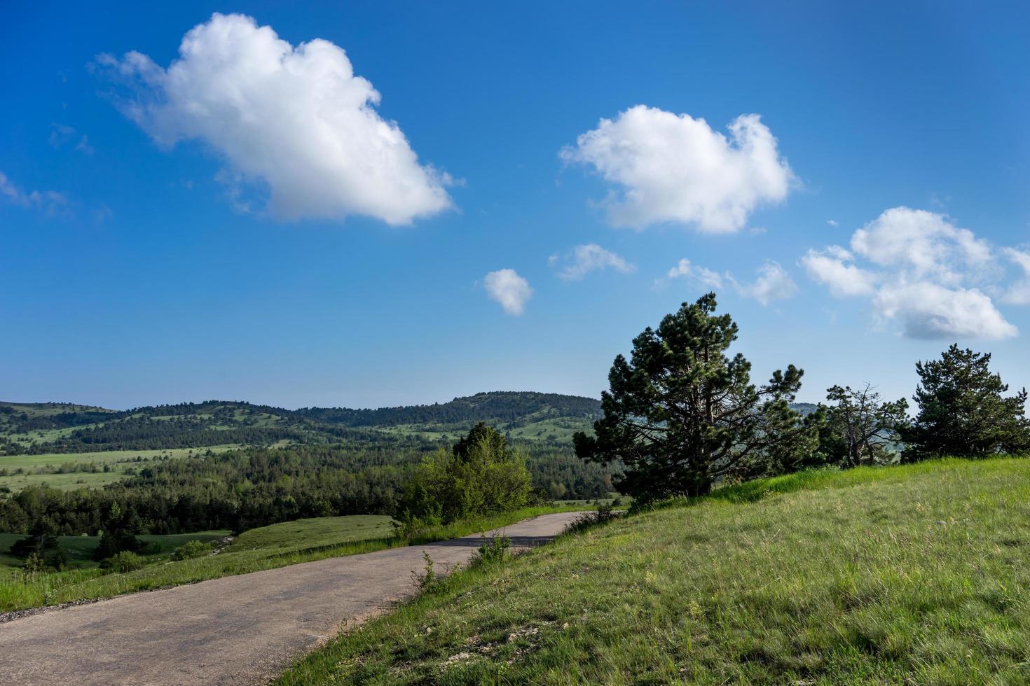 Straße, die zwischen grasbewachsenen Feldern mit einem bewölkten blauen Himmel läuft foto