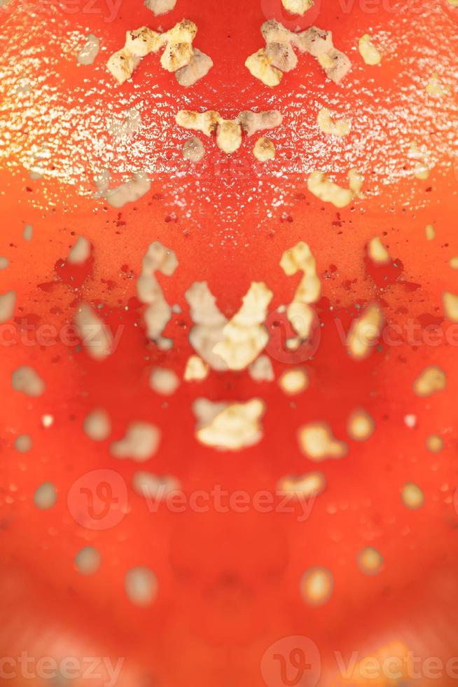 Pilz Amanita Muscaria bekannt wie fliegen Agaric mit hell rot Hut und Farbe Gießen Amanitaceae Familie psychedelisch Ausflug hoch Qualität psychedelisch Flyer Party Designs drucken foto