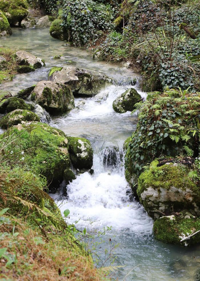 schön Berg Fluss mit klar Blau Wasser fließt zwischen Felsen im ein Berg Wald. früh Frühling. foto