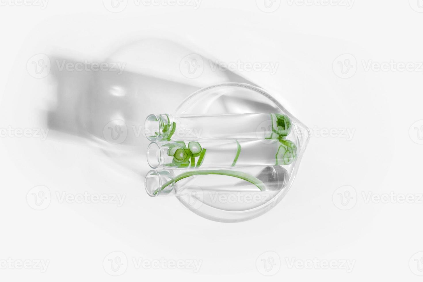 organisch Kosmetika, natürlich Kosmetika, Biokraftstoffe, Algen. natürlich Grün Labor. Experimente. Labor Glaswaren und Behälter mit Grün Pflanzen auf ein Licht Hintergrund. foto