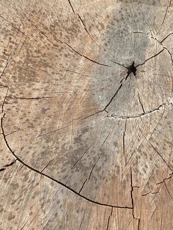 alter Holzbeschaffenheitshintergrund foto