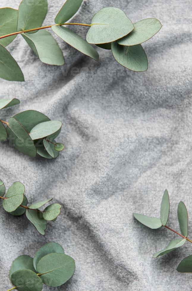 Eukalyptus Ast auf Textil- Stoff Hintergrund. foto