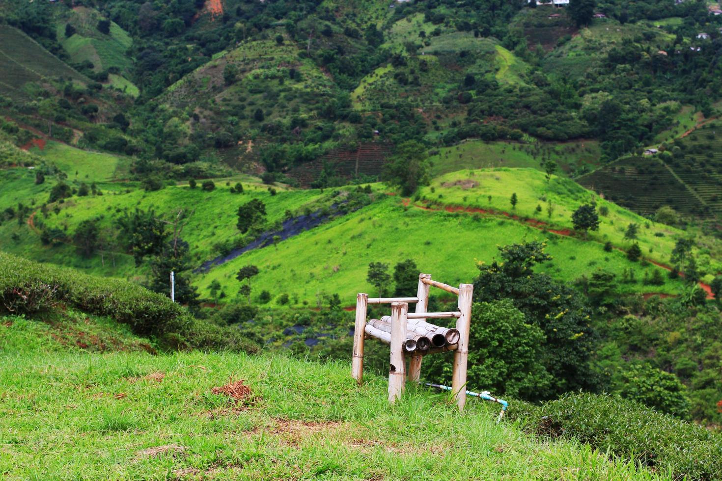 Bambus Stuhl auf Gras im Tee Plantage auf das Berg und Wald ist sehr schön Aussicht im Chiang Rai Provinz, Thailand. foto