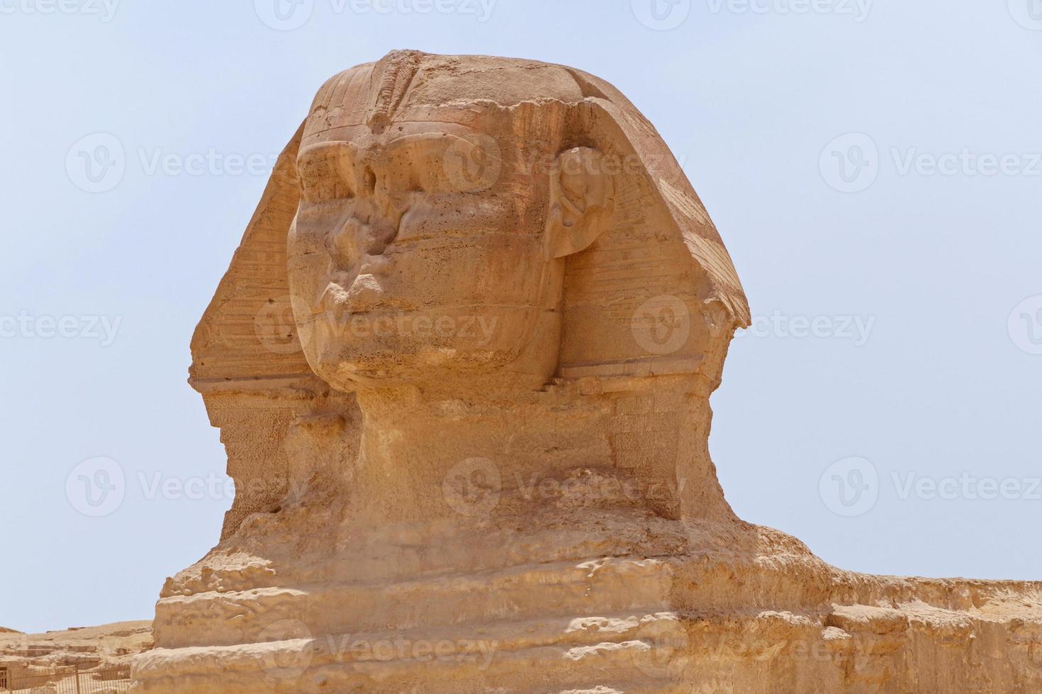 schließen oben von großartig Sphinx von Gizeh foto