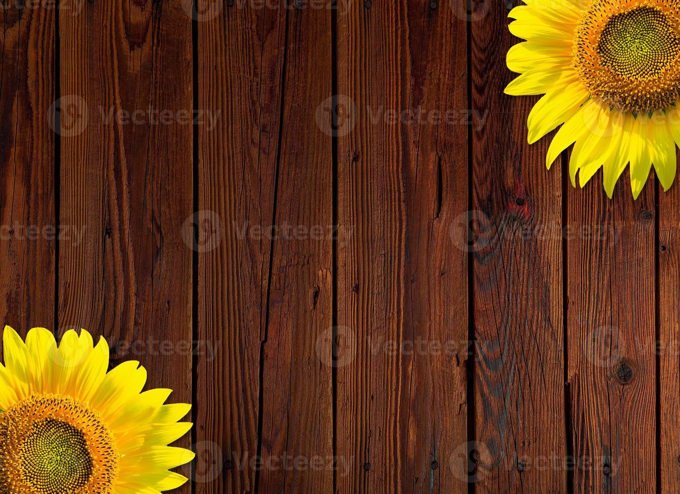 Herbst Hintergrund mit Gelb Sonnenblumen auf hölzern Tafel foto
