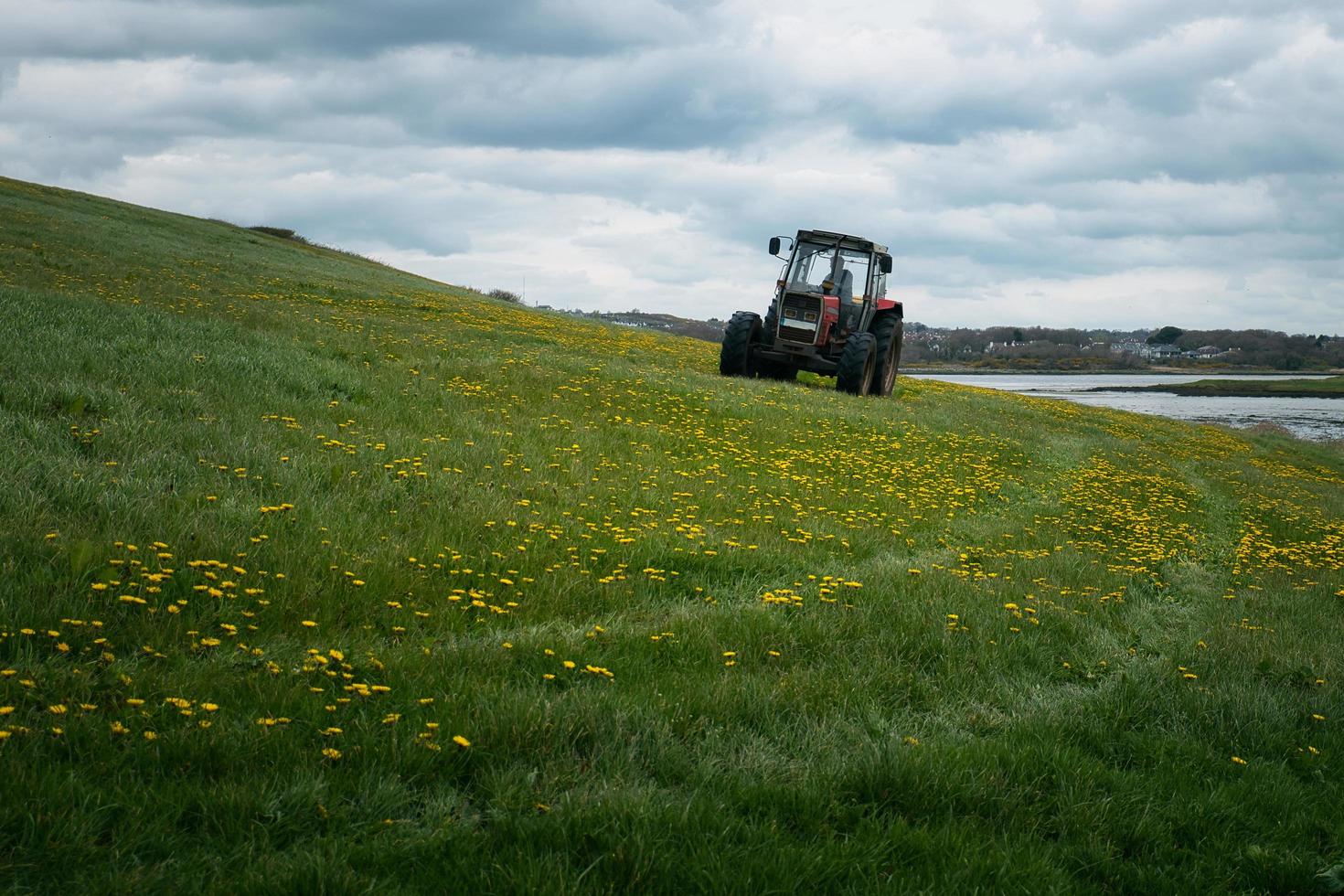 Traktor Fahren auf Bauernhof im Blume Feld durch das Silberstrang Strand im Galway, Irland foto