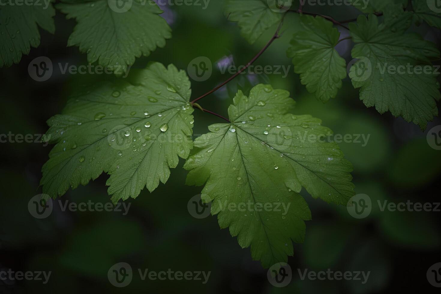 ein Nahansicht von nass texturiert Blätter im ein feucht Morgen im das Wald. ai generiert foto