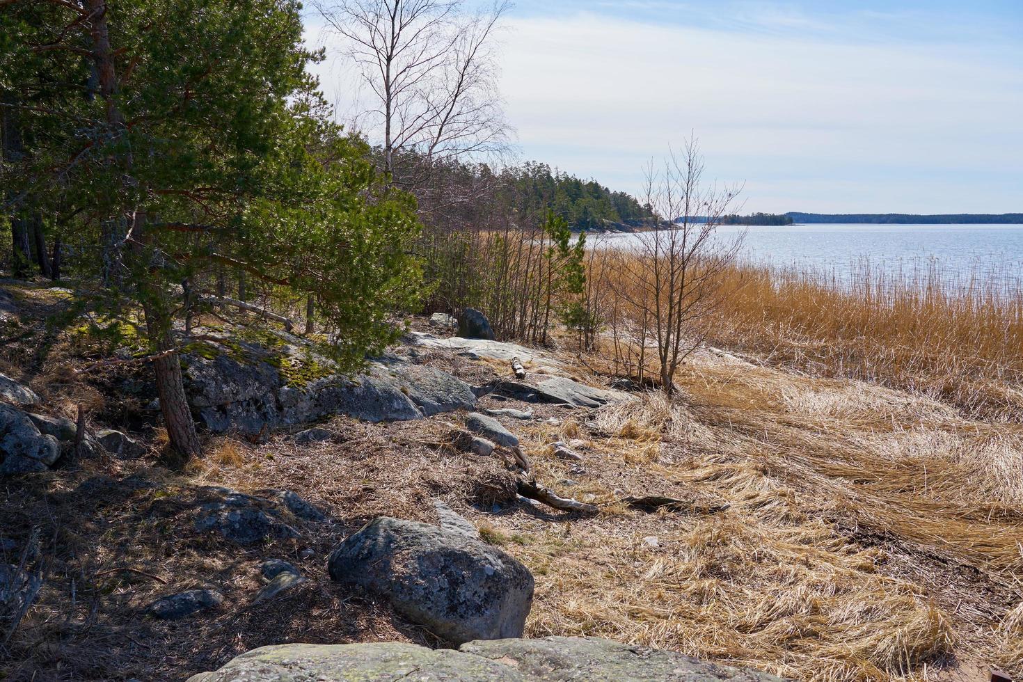 die Ostseeküste in Finnland im Frühjahr an einem sonnigen Tag. foto