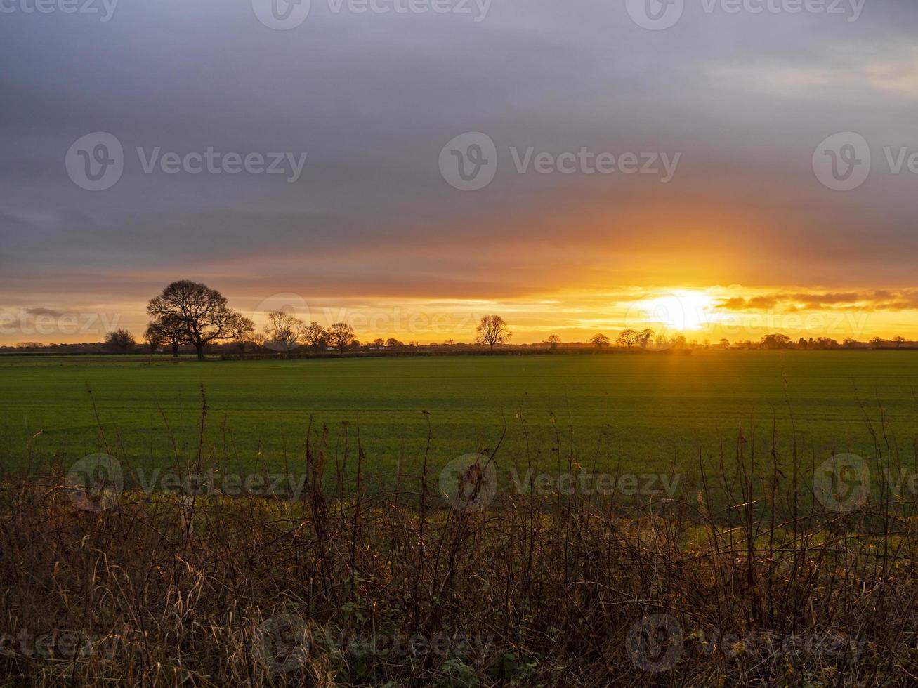 Sonnenuntergang auf einem Feld foto