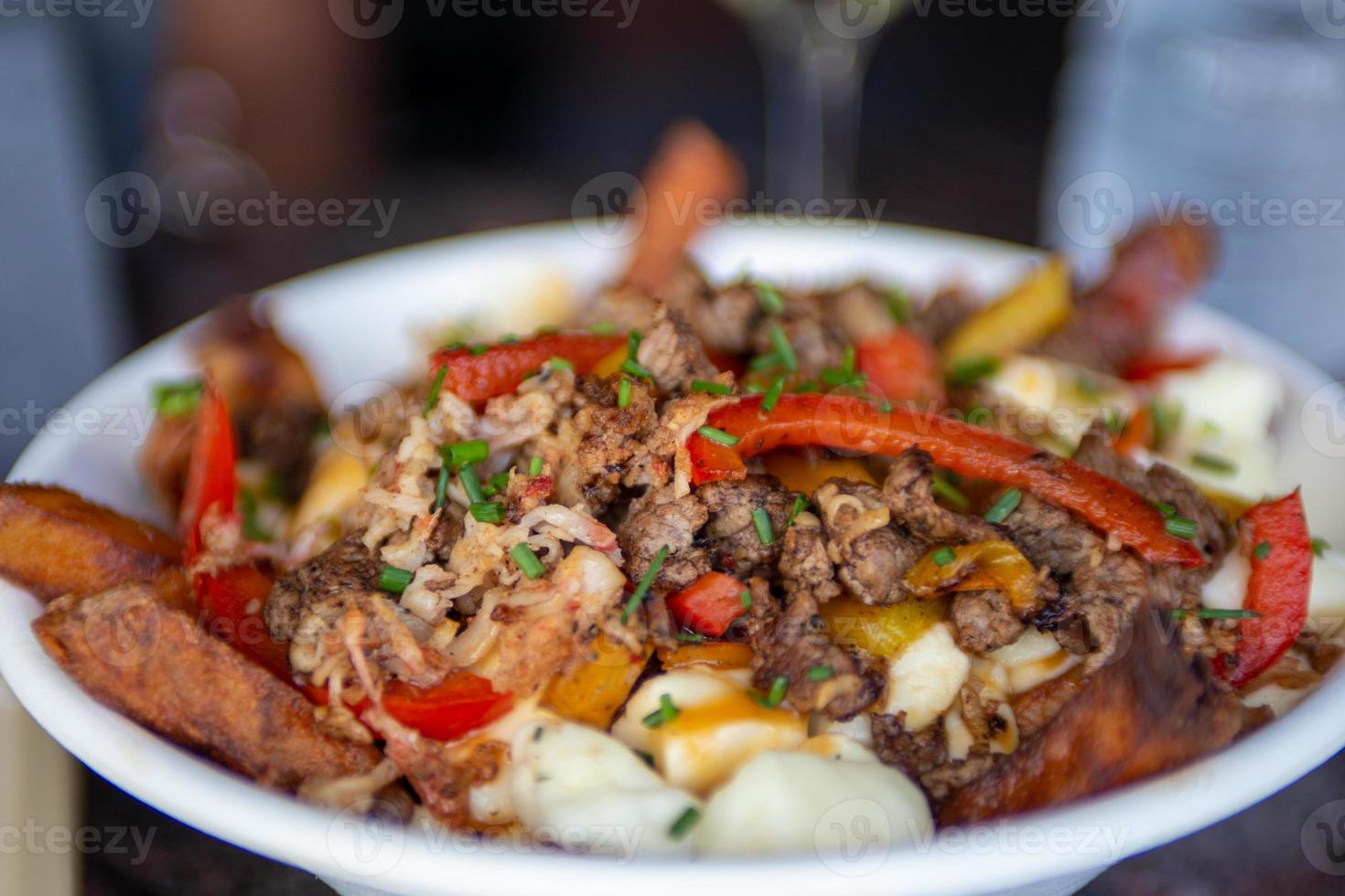 Italienisch Stil Poutine foto