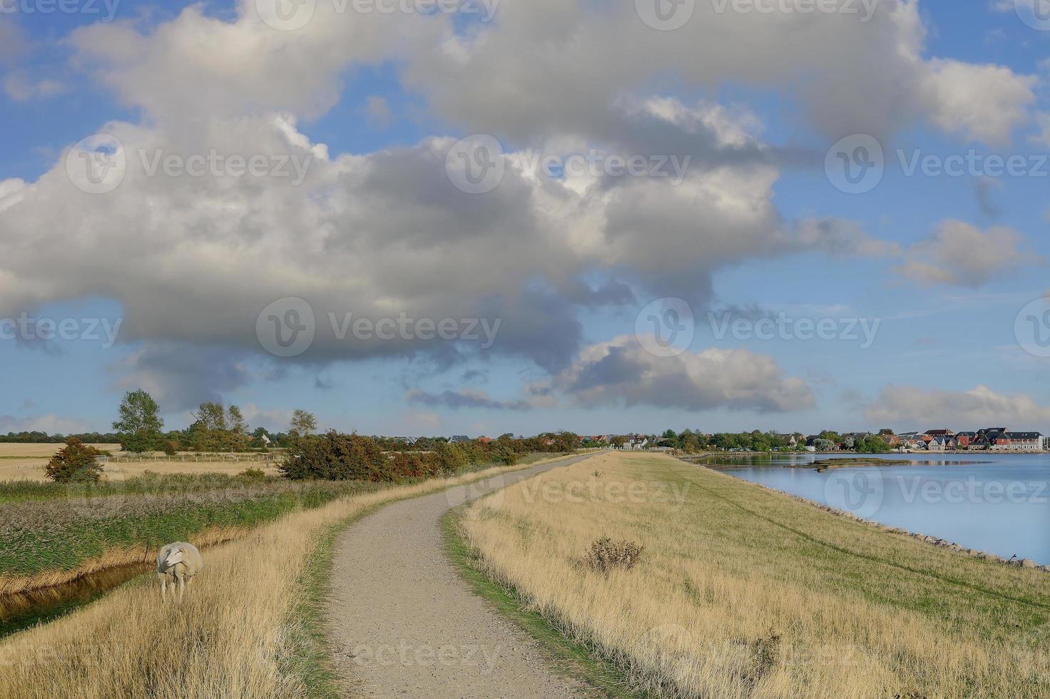 Blick auf das Dorf Lemkenhafen, Fehmarn, Ostsee, Schleswig-Holstein, Deutschland foto